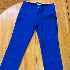 Royal Blue Straight-Leg Dress Pants